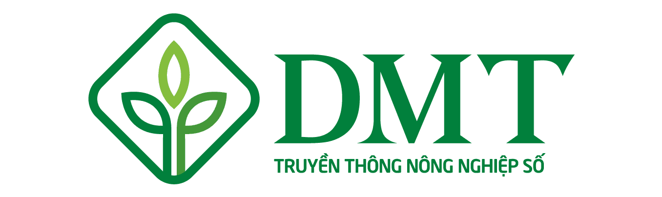 DMT